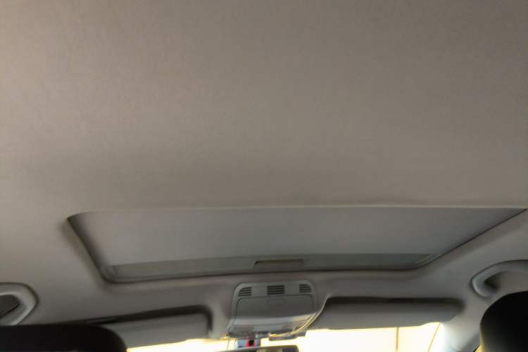 Used Volkswagen Magotan 2012 1.8TSI Prestige Model Headliner