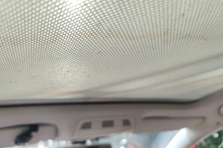 Used Volkswagen Magotan 2012 Travel Edition 2.0 TSI Comfort Version Headliner
