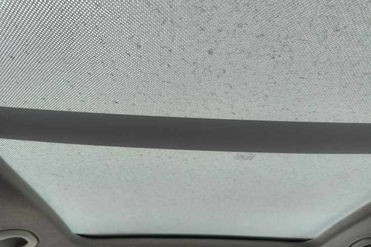 Used Volkswagen Magotan 2012 Travel Edition 2.0 TSI Comfort Version Headliner