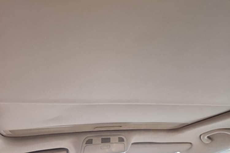 Used Volkswagen Magotan 2013 1.8TSI Luxury Model Headliner