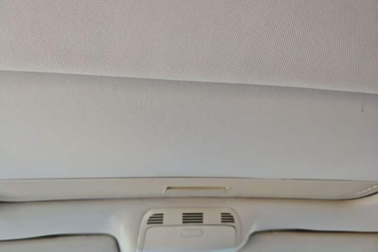 Used Volkswagen Magotan 2013 2.0 TSI Prestige Model Headliner