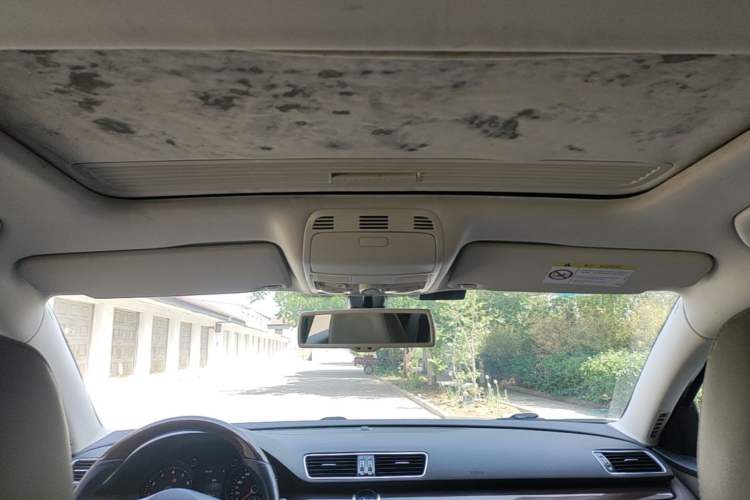 Used Volkswagen Magotan 2013 2.0 TSI Prestige Model Headliner