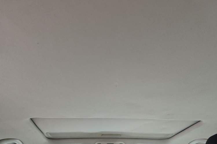 Used Volkswagen Magotan 2013 1.8TSI Premier Model Headliner