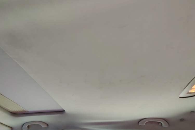Used Volkswagen Magotan 2013 1.8TSI Prestige Model Headliner