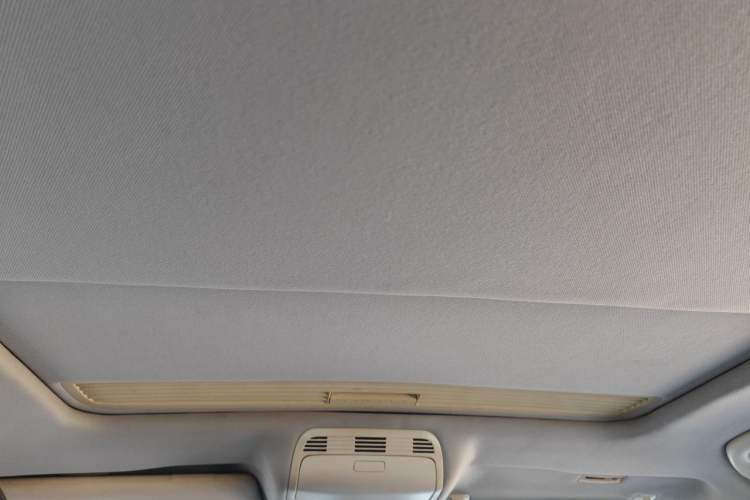 Used Volkswagen Magotan 2013 2.0 TSI Prestige Model Headliner