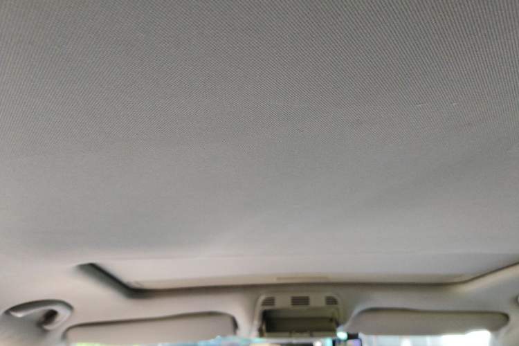 Used Volkswagen Magotan 2013 1.8TSI Luxury Model Headliner