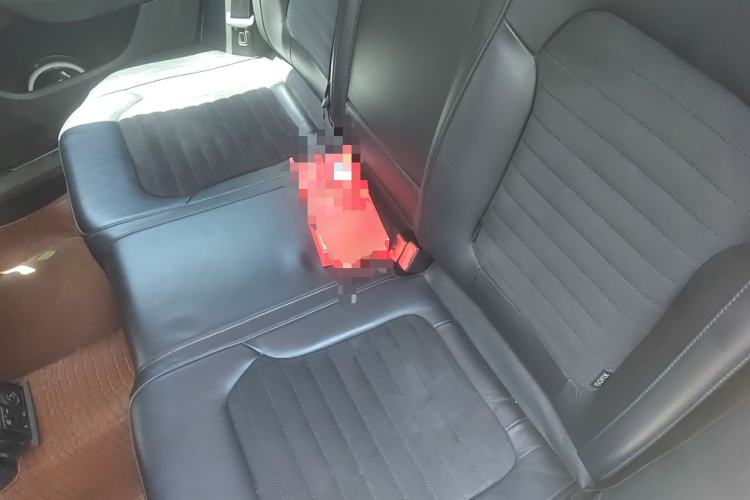 Used Volkswagen Magotan 2013 2.0 TSI Prestige Model Left Rear Seat