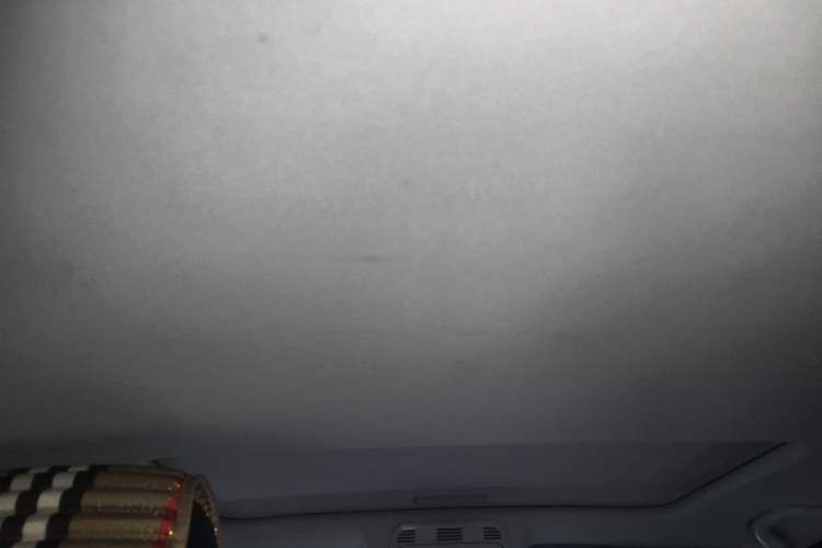 Used Volkswagen Magotan 2015 1.8TSI Luxury Model Headliner