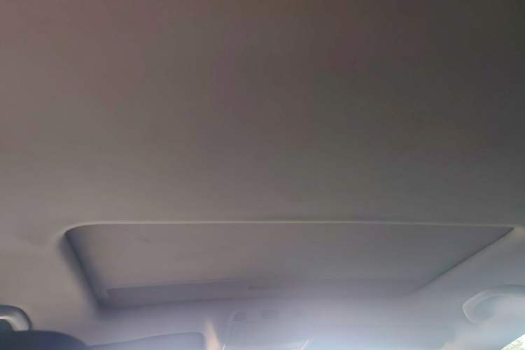 Used Volkswagen Magotan 2015 1.8TSI Prestige Model Headliner