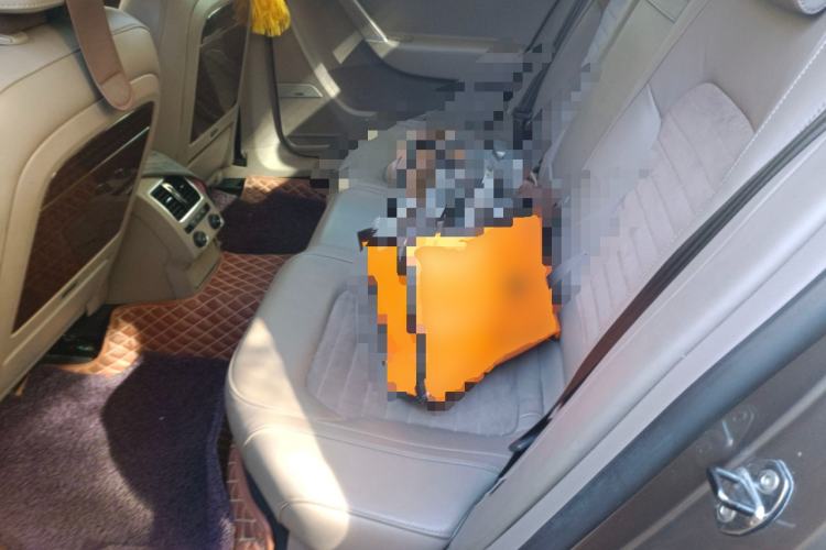 Used Volkswagen Magotan 2015 2.0 TSI Prestige Model Left Rear Seat