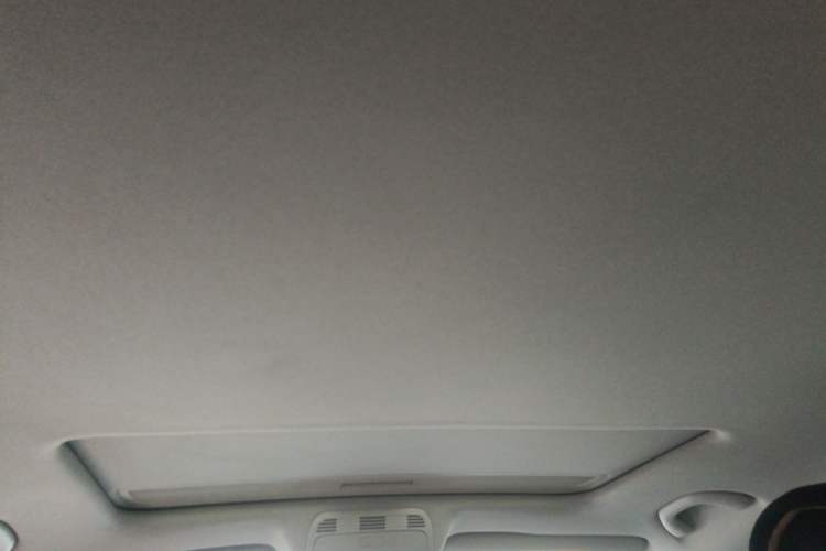 Used Volkswagen Magotan 2015 1.8TSI Advanced Model Headliner