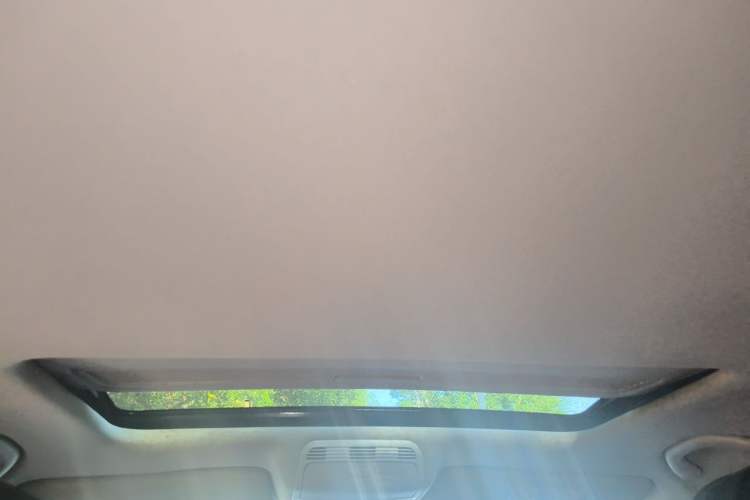 Used Volkswagen Magotan 2016 2.0 TSI Luxury Comfort Version Headliner