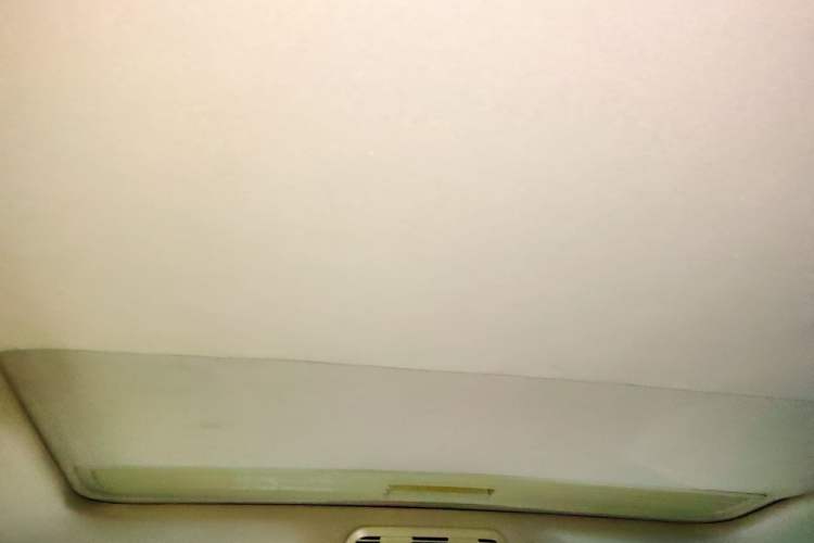 Used Volkswagen Magotan 2016 2.0 TSI Luxury Comfort Version Headliner