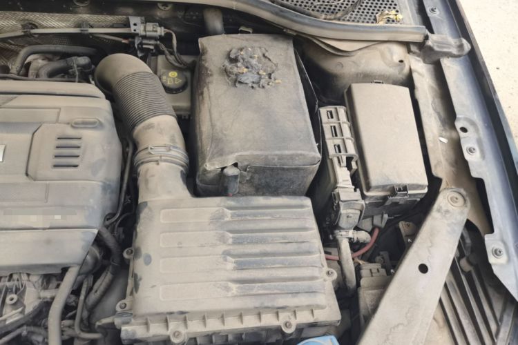 Used Volkswagen Magotan 2017 330TSI DSG Luxury Model Engine Bay Left
