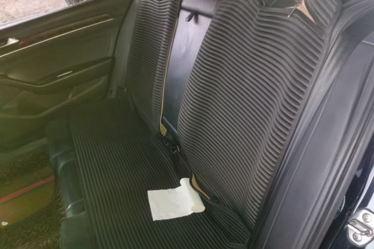 Used Volkswagen Magotan 2017 330TSI DSG Luxury Model Left Rear Seat