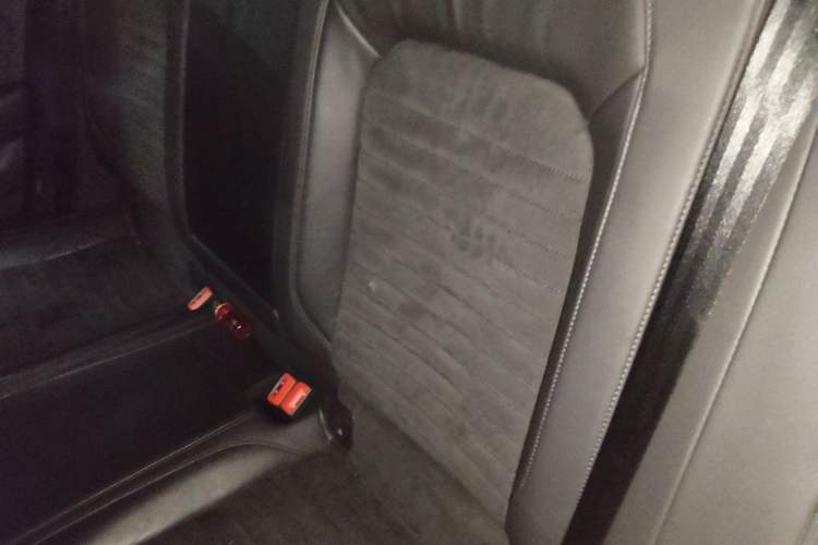 Used Volkswagen Magotan 2017 330TSI DSG Luxury Model Left Rear Seat