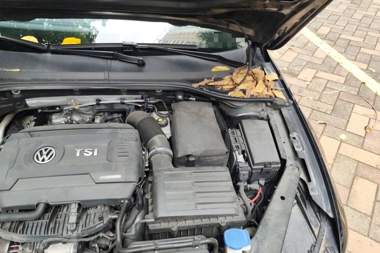 Used Volkswagen Magotan 2018 330TSI DSG Luxury Model Engine Bay Left