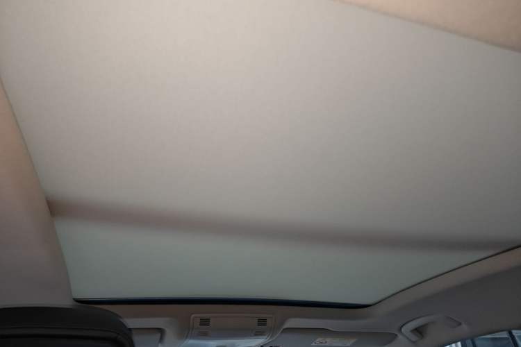 Used Volkswagen Magotan 2018 330TSI DSG Advanced Model Headliner