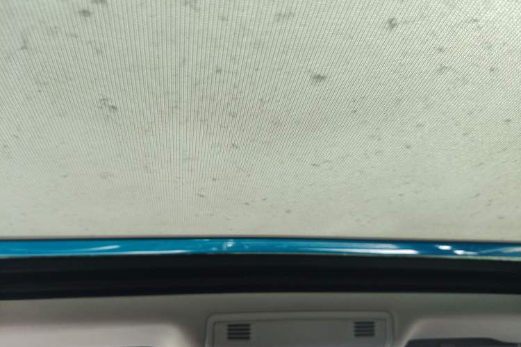 Used Volkswagen Magotan 2018 330TSI DSG Luxury Model Headliner