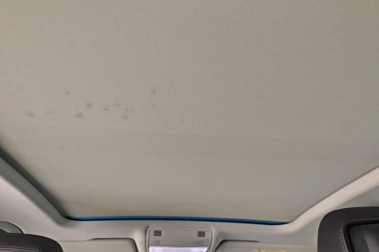 Used Volkswagen Magotan 2018 330TSI DSG Luxury Model Headliner
