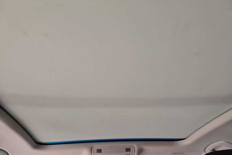 Used Volkswagen Magotan 2018 Facelift 330TSI DSG Luxury Model Headliner
