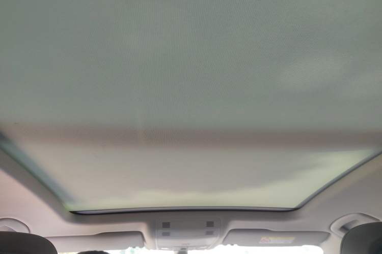 Used Volkswagen Magotan 2018 Facelift 330TSI DSG Luxury Model Headliner
