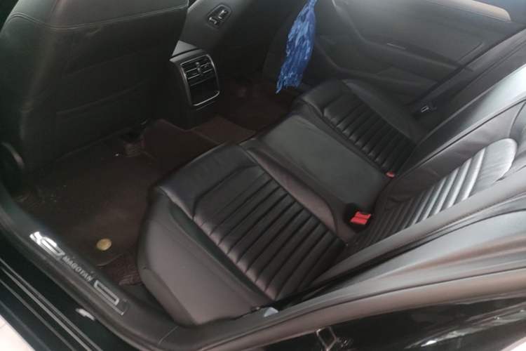 Used Volkswagen Magotan 2018 330TSI DSG Advanced Model Left Rear Seat