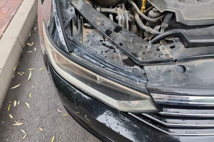 Used Volkswagen Magotan 2018 330TSI DSG Advanced Model Right Front Headlight