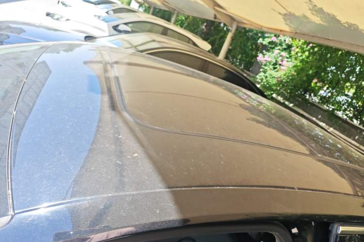 Used Volkswagen Magotan 2018 330TSI DSG Advanced Model Roof