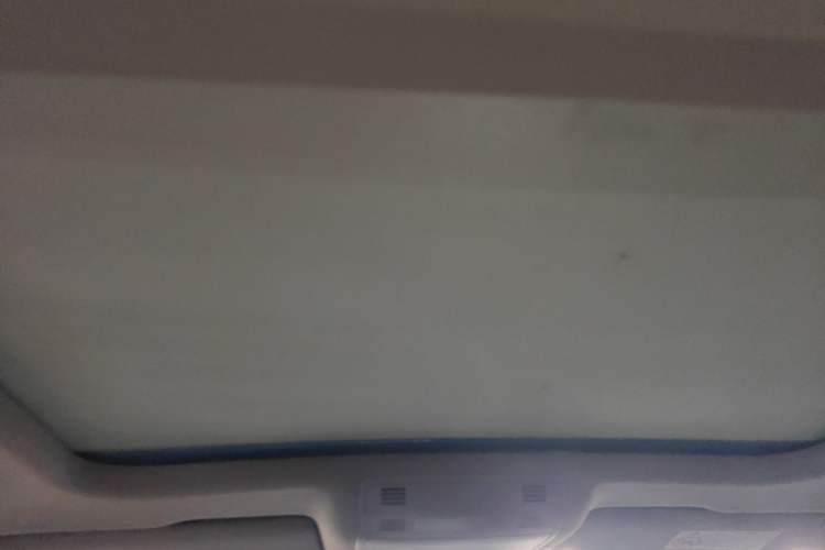 Used Volkswagen Magotan 2018 330TSI DSG Advanced Model Headliner