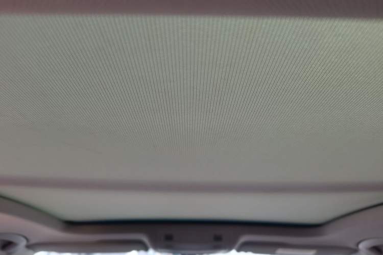 Used Volkswagen Magotan 2018 Facelift 330TSI DSG Luxury Model Headliner