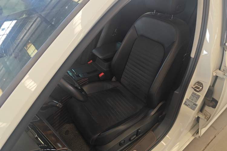 Used Volkswagen Magotan 2018 330TSI DSG Luxury Model Left Front Seat