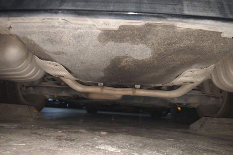 Used Volkswagen Magotan 2019 330TSI DSG Leading Model China VI Standard Chassis Rear