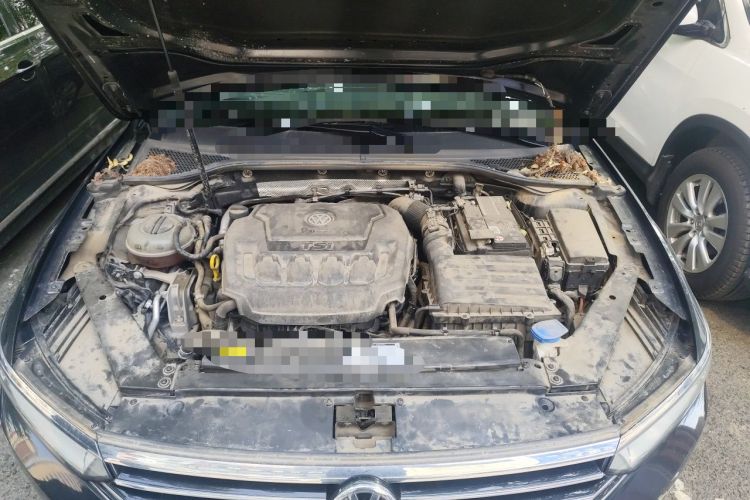 Used Volkswagen Magotan 2019 330TSI DSG Luxury Version China VI Standard Engine Bay