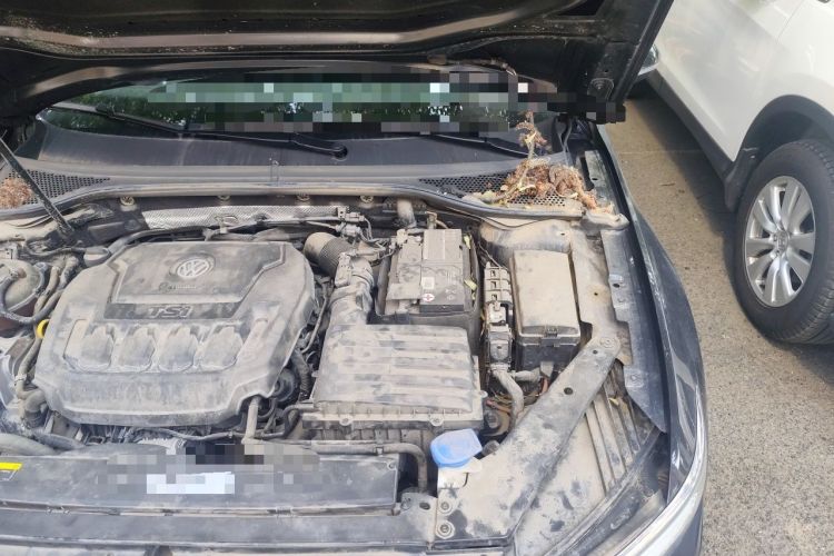 Used Volkswagen Magotan 2019 330TSI DSG Luxury Version China VI Standard Engine Bay Left