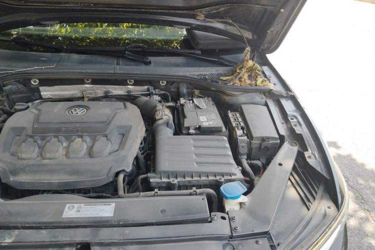 Used Volkswagen Magotan 2019 330TSI DSG Leading Edition China V Standard Engine Bay Left