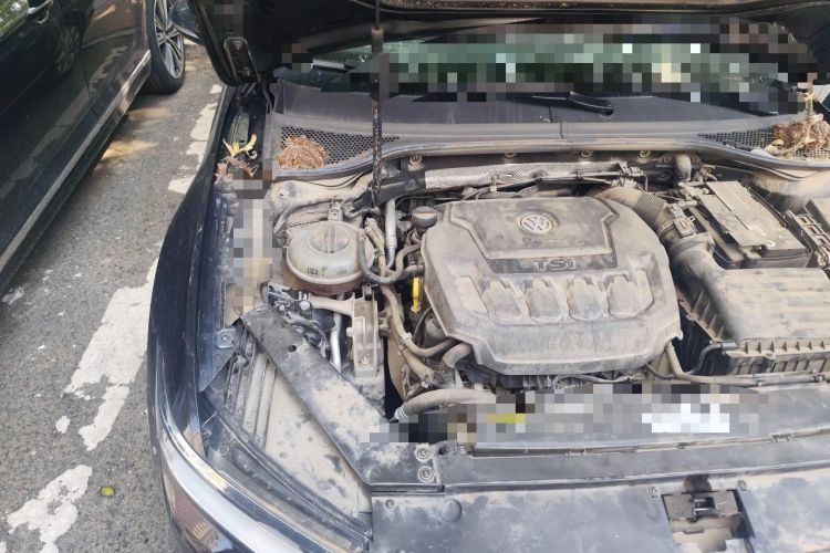 Used Volkswagen Magotan 2019 330TSI DSG Luxury Version China VI Standard Engine Bay Right