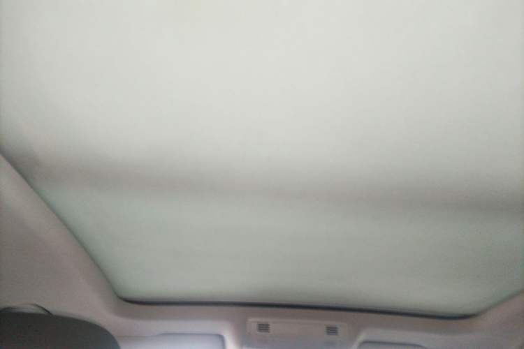 Used Volkswagen Magotan 2019 330TSI DSG Leading Model China VI Standard Headliner