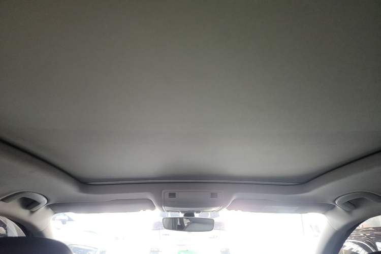 Used Volkswagen Magotan 2019 330TSI DSG Luxury Model China V Standard Headliner
