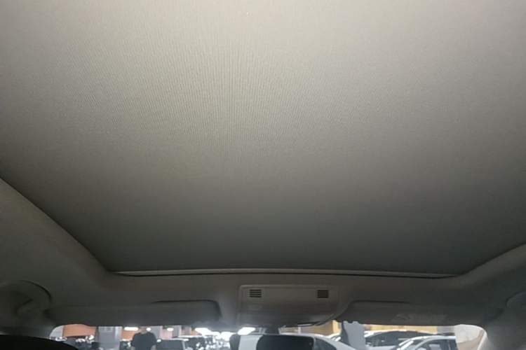 Used Volkswagen Magotan 2019 330TSI DSG Luxury Model China V Standard Headliner