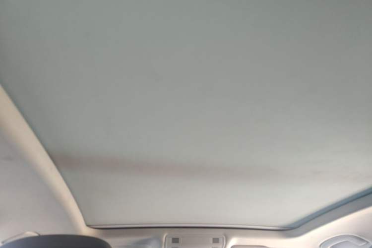 Used Volkswagen Magotan 2019 330TSI DSG Luxury Version China VI Standard Headliner