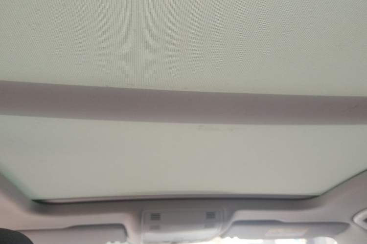 Used Volkswagen Magotan 2019 330TSI DSG Leading Model China VI Standard Headliner