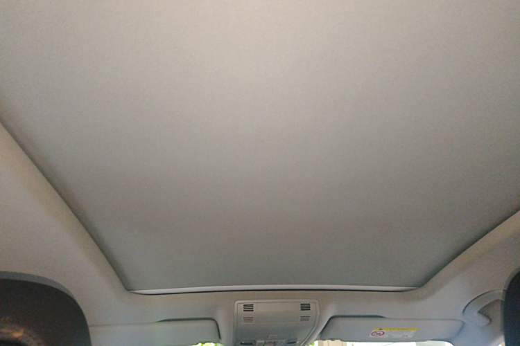 Used Volkswagen Magotan 2019 330TSI DSG Leading Model China VI Standard Headliner