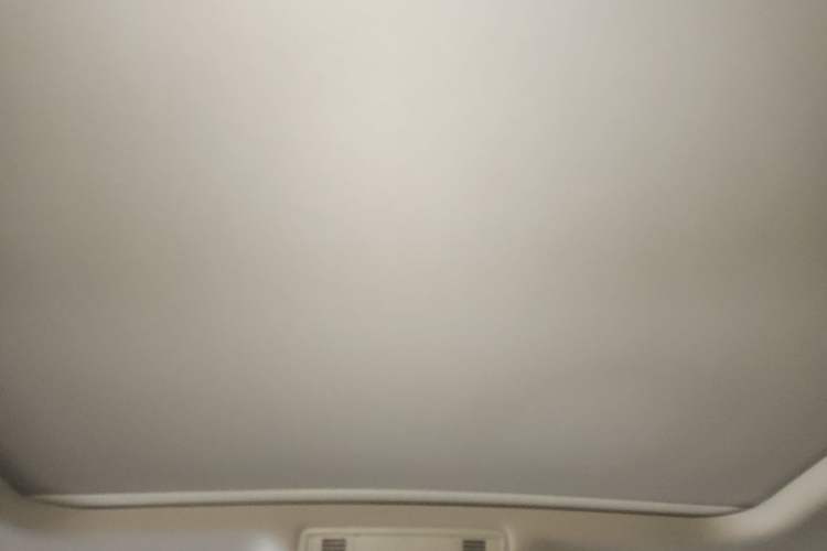 Used Volkswagen Magotan 2019 380TSI DSG Luxury Version China VI Standard Headliner