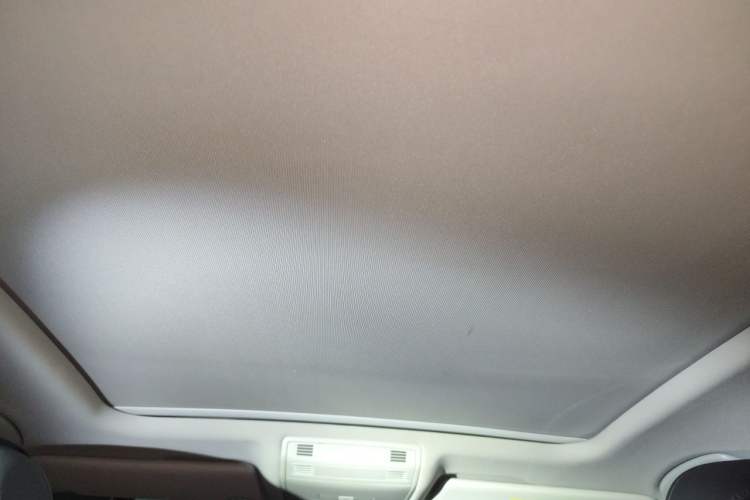 Used Volkswagen Magotan 2019 330TSI DSG Leading Model China VI Standard Headliner