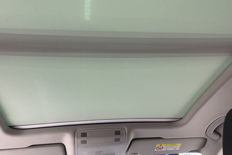 Used Volkswagen Magotan 2019 330TSI DSG Luxury Model China V Standard Headliner