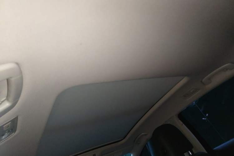Used Volkswagen Magotan 2019 280TSI DSG Comfort Model China VI Standard Headliner