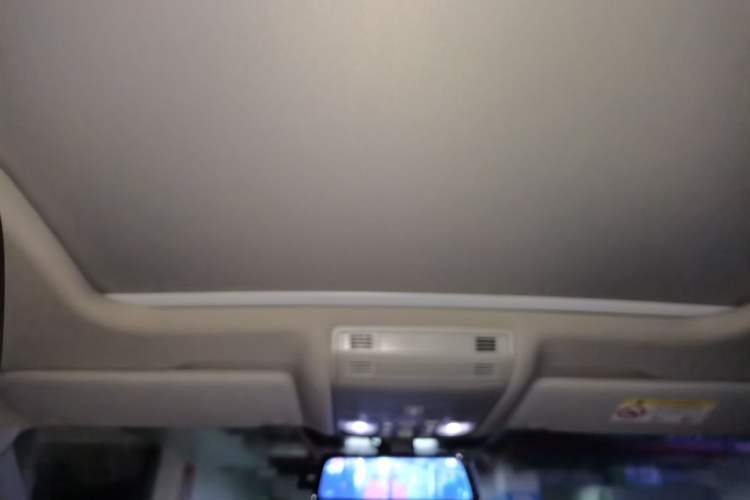 Used Volkswagen Magotan 2019 330TSI DSG Luxury Version China VI Standard Headliner