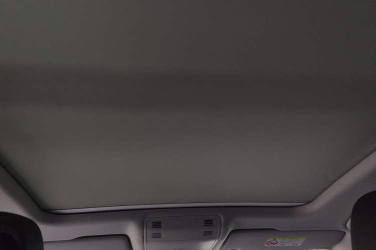 Used Volkswagen Magotan 2019 330TSI DSG Leading Model China VI Standard Headliner