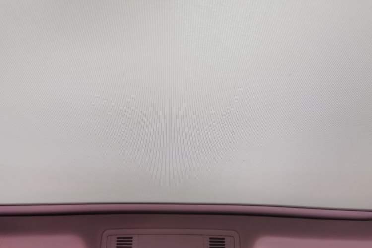 Used Volkswagen Magotan 2019 330TSI DSG Luxury Version China VI Standard Headliner